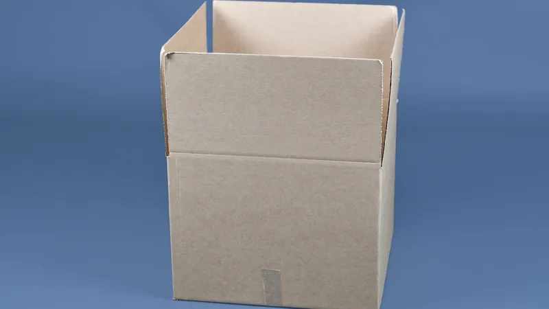 一只打開的空紙箱